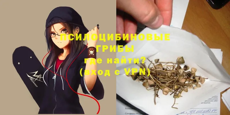 Псилоцибиновые грибы Magic Shrooms  Щёкино 